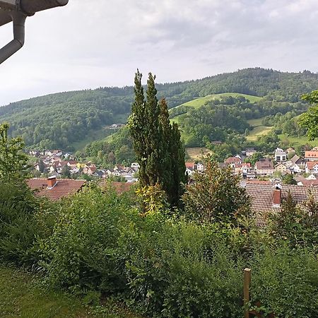 Das Tor Zum Odenwald Gorxheimertal 外观 照片