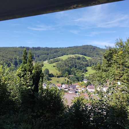 Das Tor Zum Odenwald Gorxheimertal 外观 照片