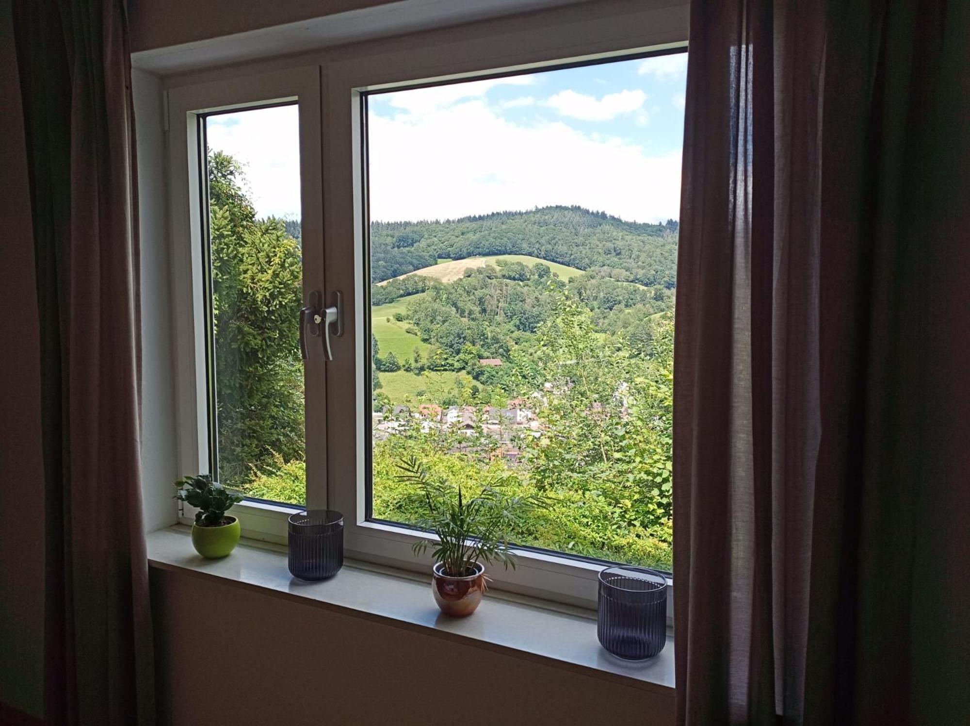 Das Tor Zum Odenwald Gorxheimertal 外观 照片
