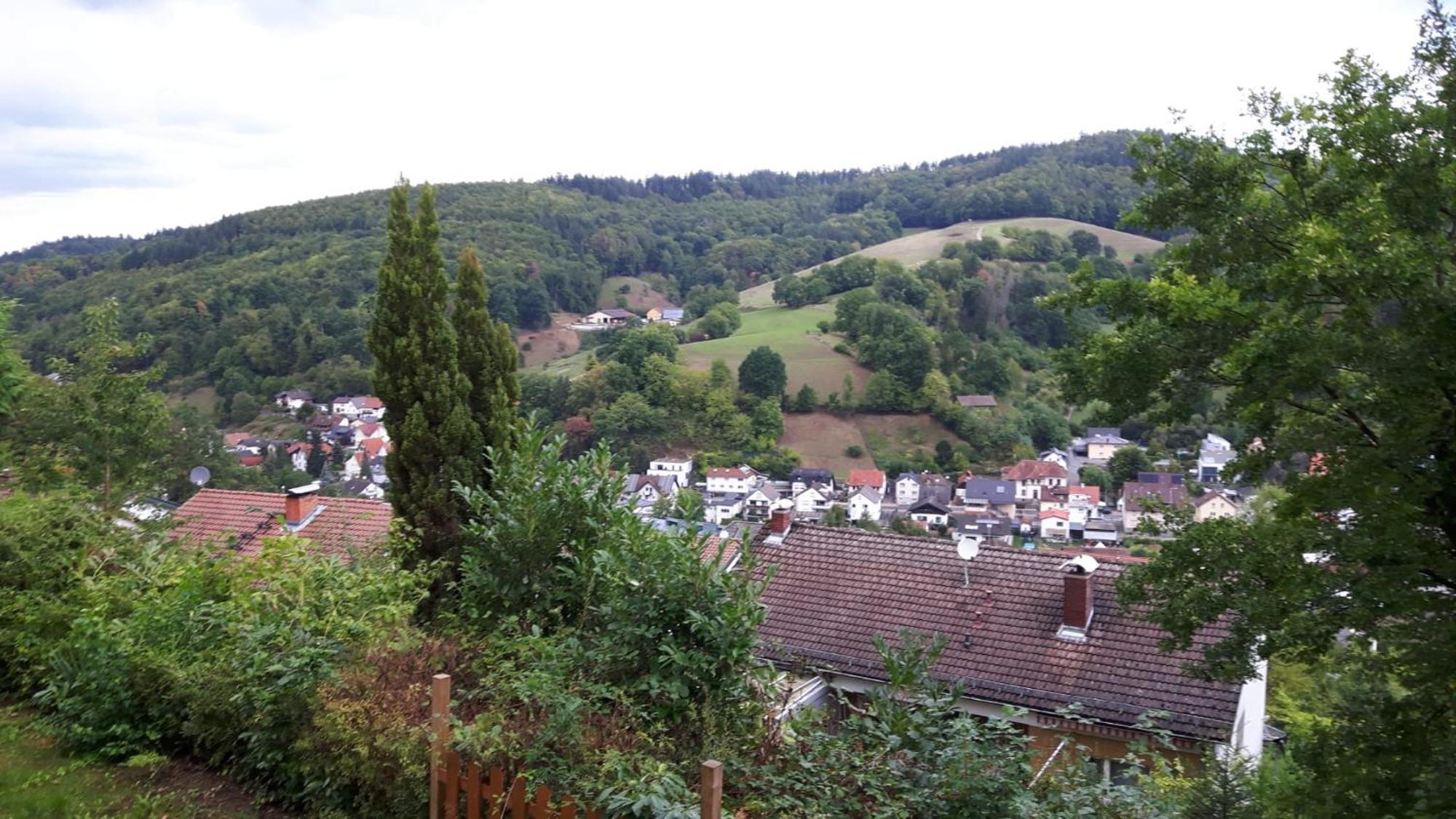 Das Tor Zum Odenwald Gorxheimertal 外观 照片